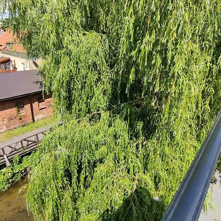 Nad Rzeka Lega Apartament *